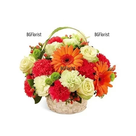 Send basket with carnations and flowers to Sofia