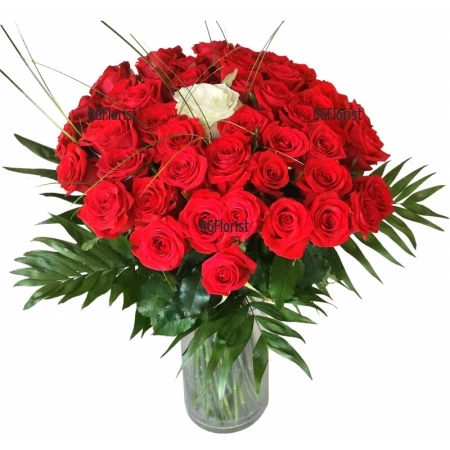 Send bouquet of 51 roses to Sofia