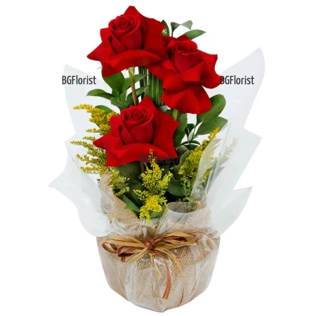 Send stylish arrangement of red roses.