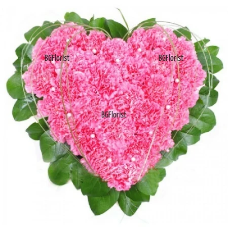 Send heart of pink carnations to Sofia