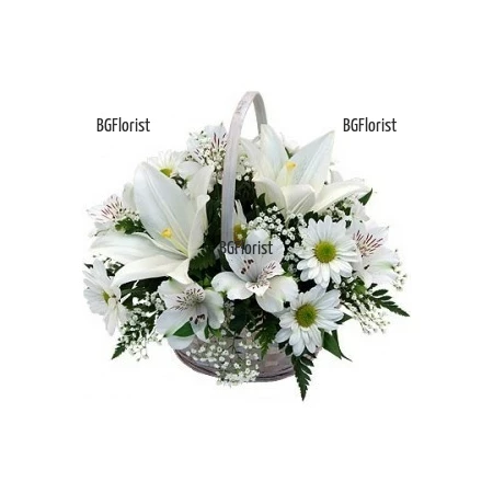 White Embrace - Send basket with white flowers to Sofia