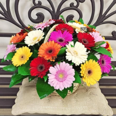 Send basket with multicoloured gerberas to Sofia