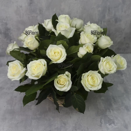 Send to Bulgaria basket with 25 white roses