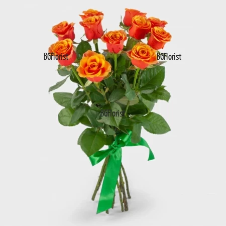 Delivery of 11 orange roses in Bulgaria