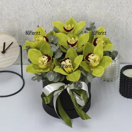 Send to Bulgaria orchids in a round box